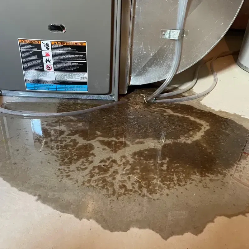 Appliance Leak Cleanup in Mason County, MI